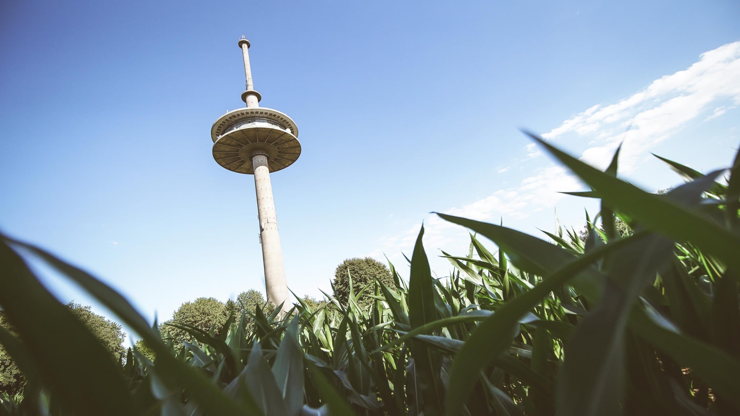 Open-Air-Bühne bei Abenddämmerung